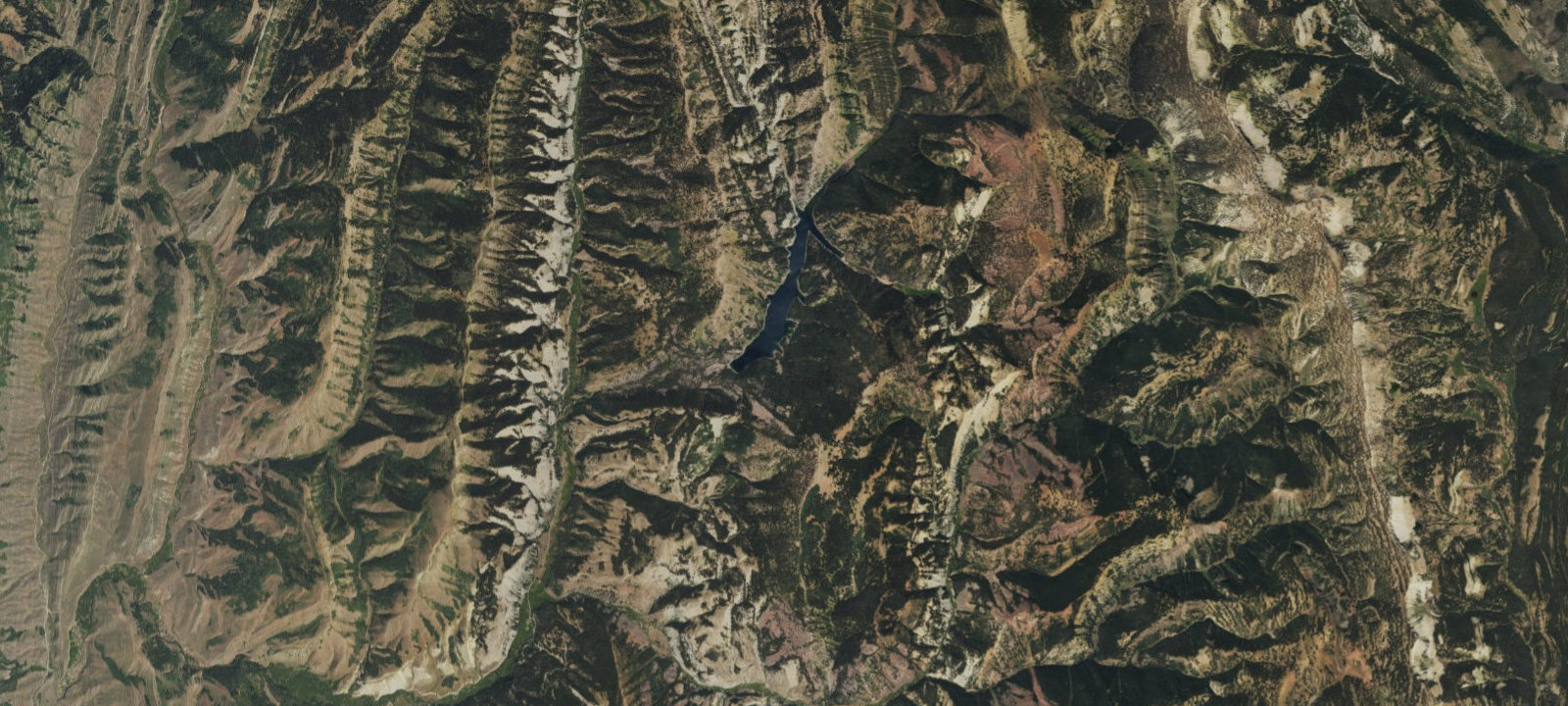 Map of Lake Alice Campground