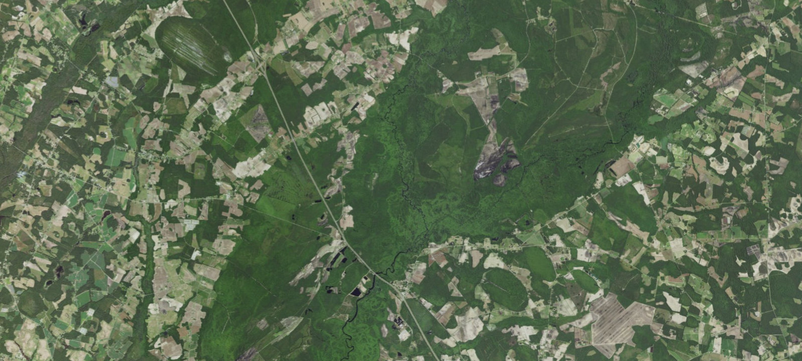 Map of Piney Island Campsite