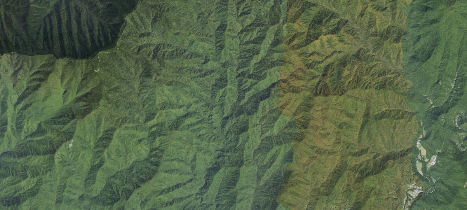 Map of Nettle Creek Campsite #54