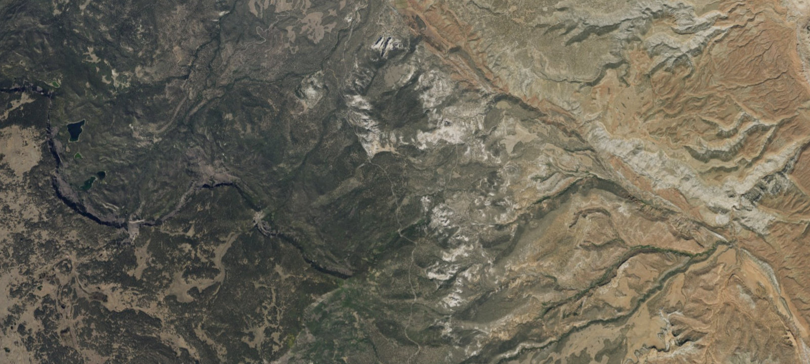Map of Site 21