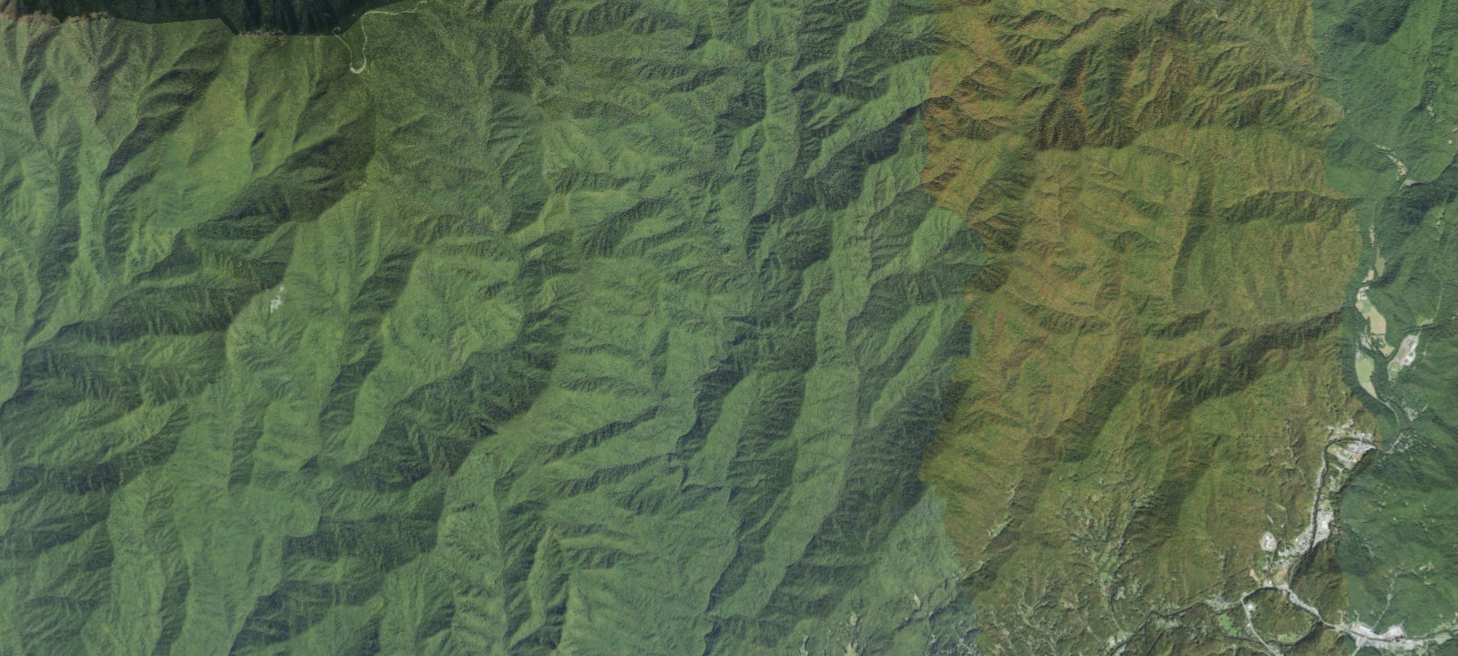 Map of Nicks Nest Branch #58