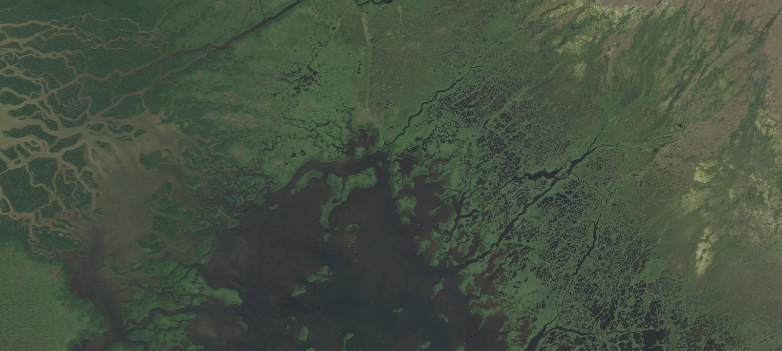 Map of Watson River Chickee