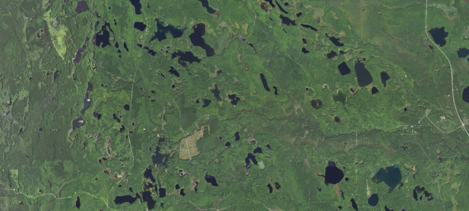 Map of Cookson Lake Campsites