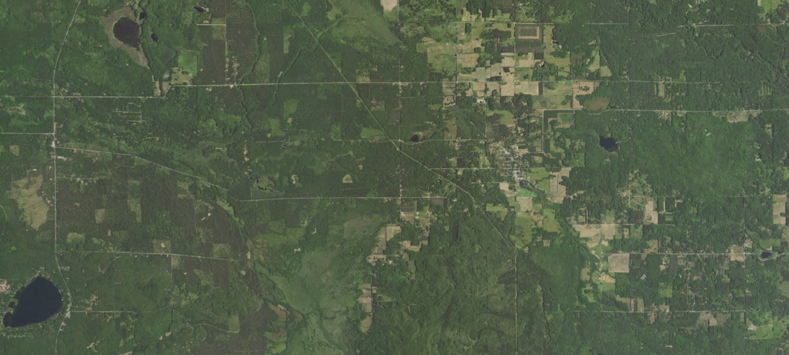 Map of Carrieville State Forest Campground