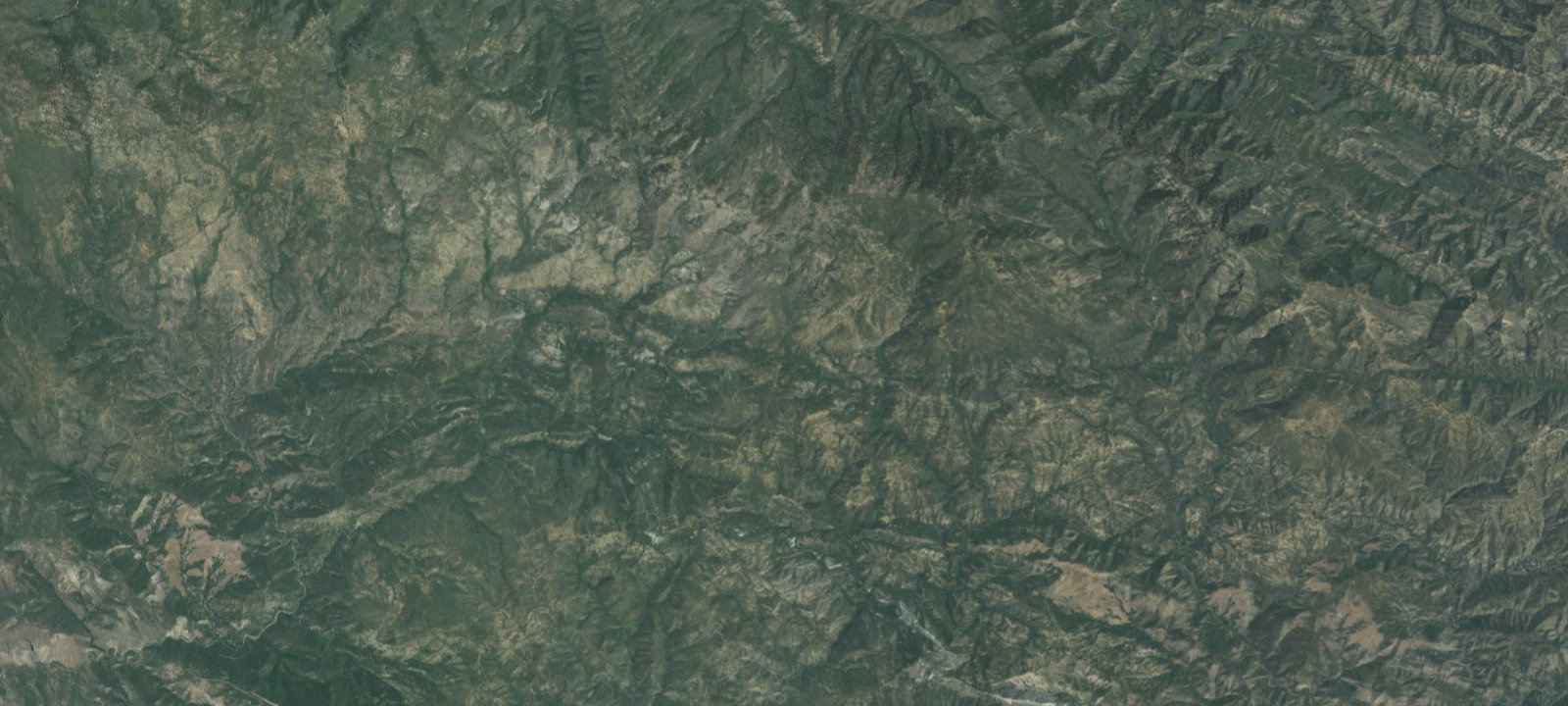 Map of Bluff Camp