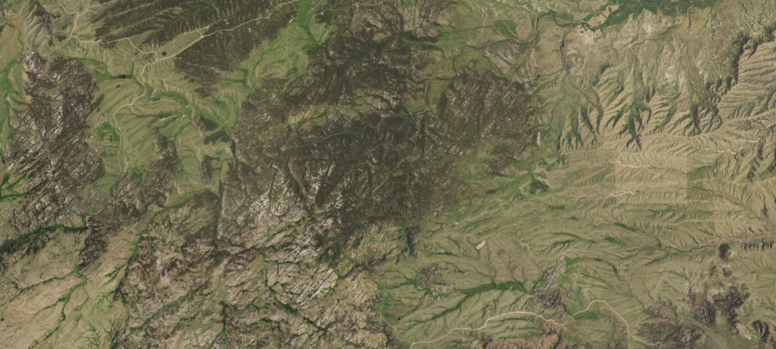 Map of Harris Park Camp 1