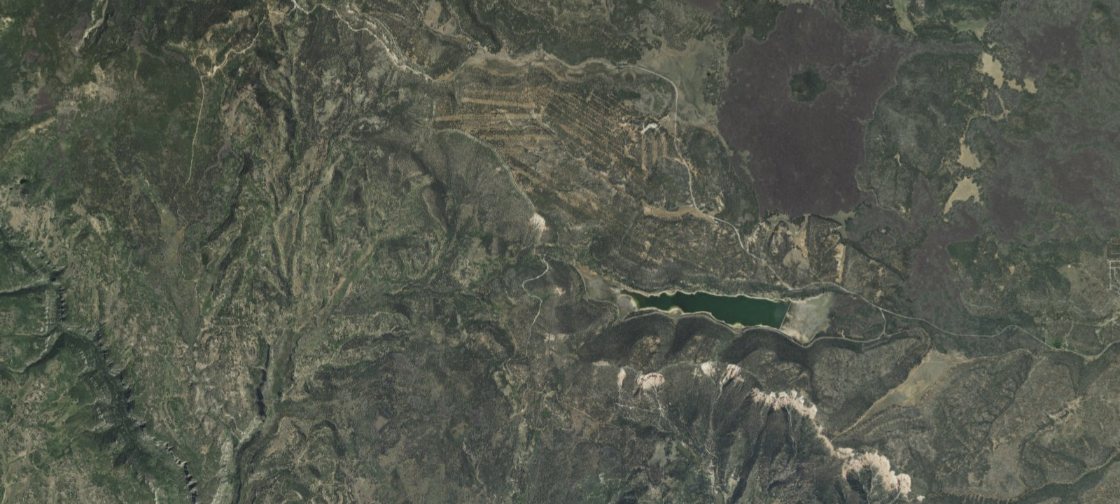 Map of Site 39