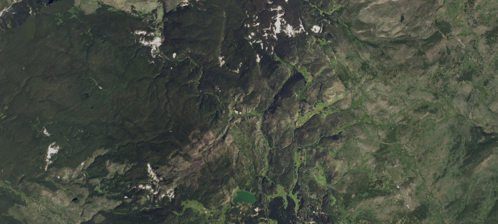 Map of Wapiti Junction