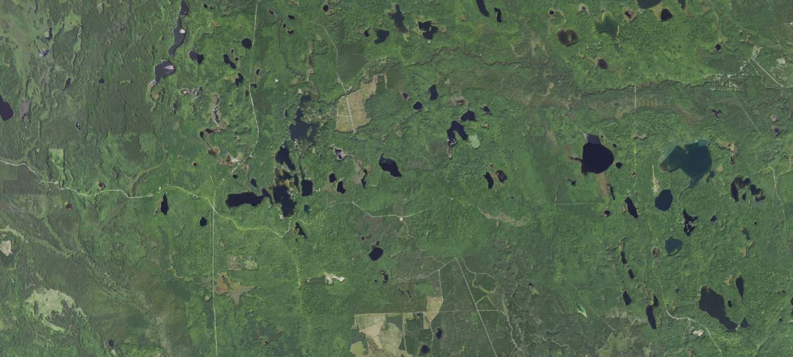 Map of Swan Lake Campsites