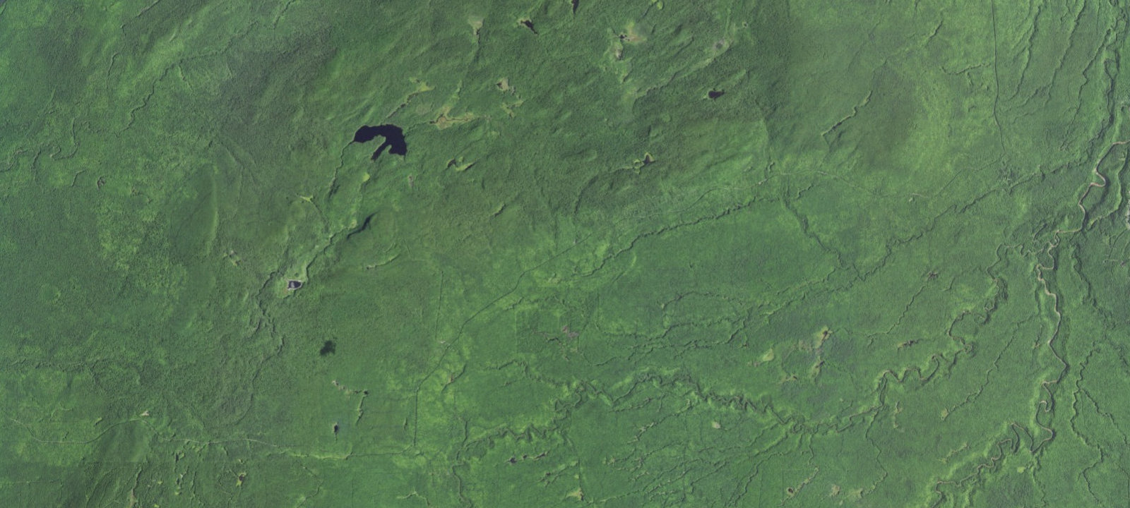 Map of White Pine Extension Outpost