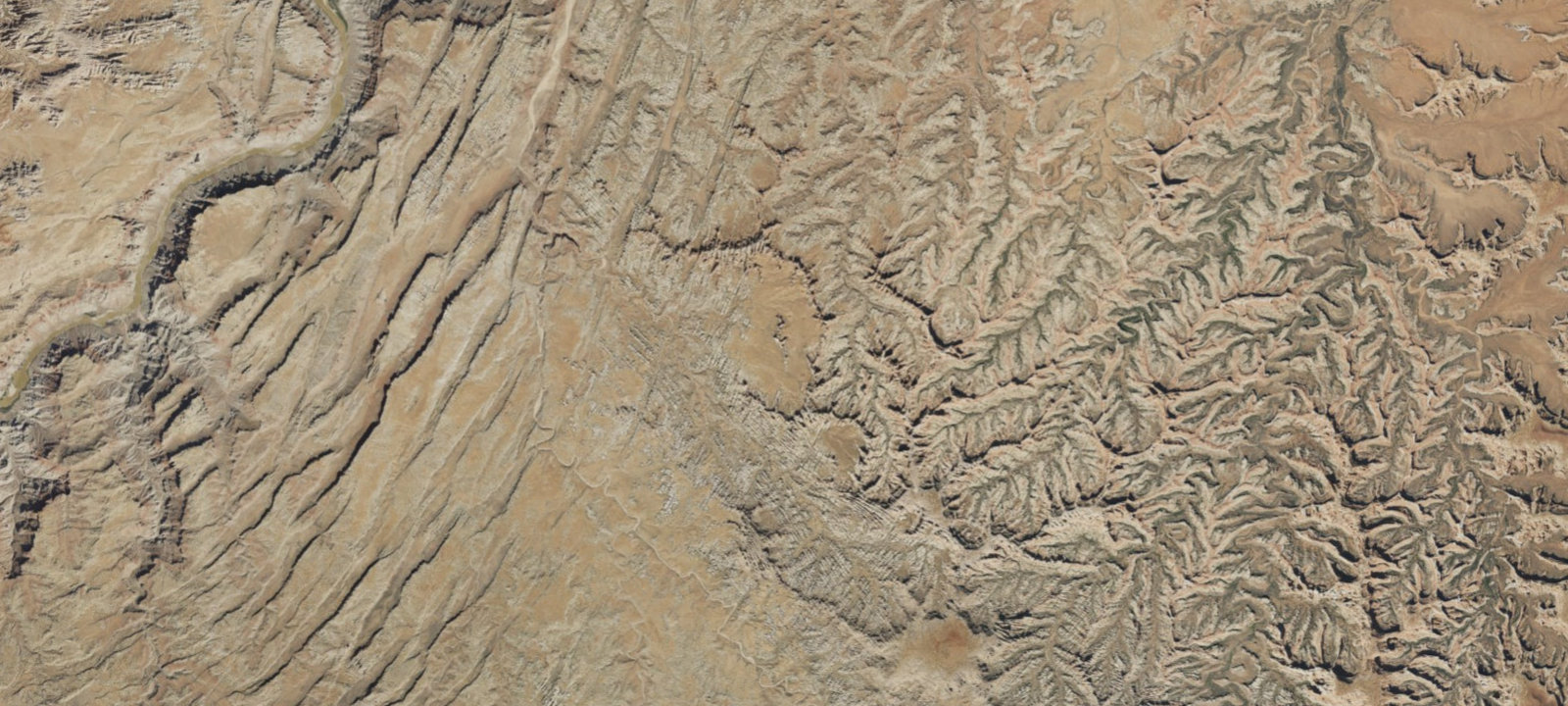 Map of Chesler Park CP4