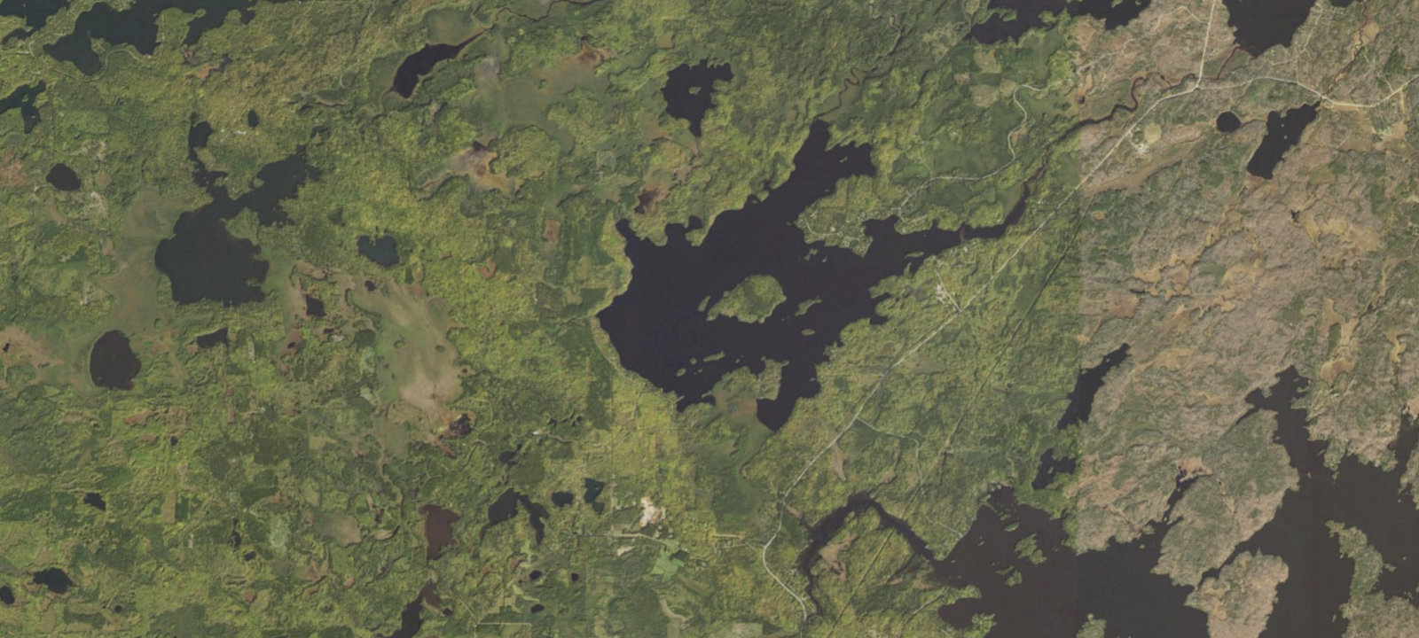Map of Bear Island Lake Site 1