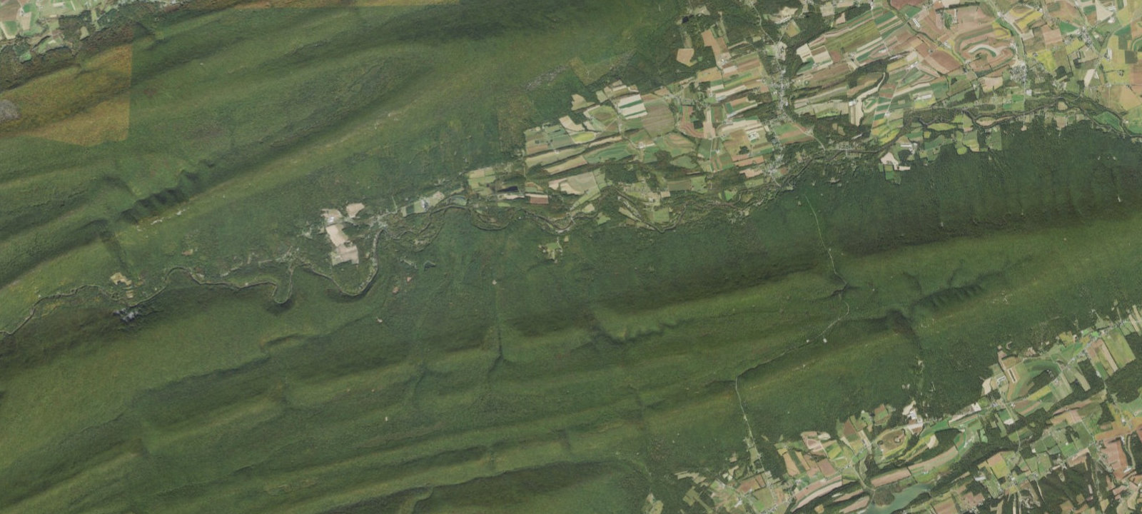 Map of Owl