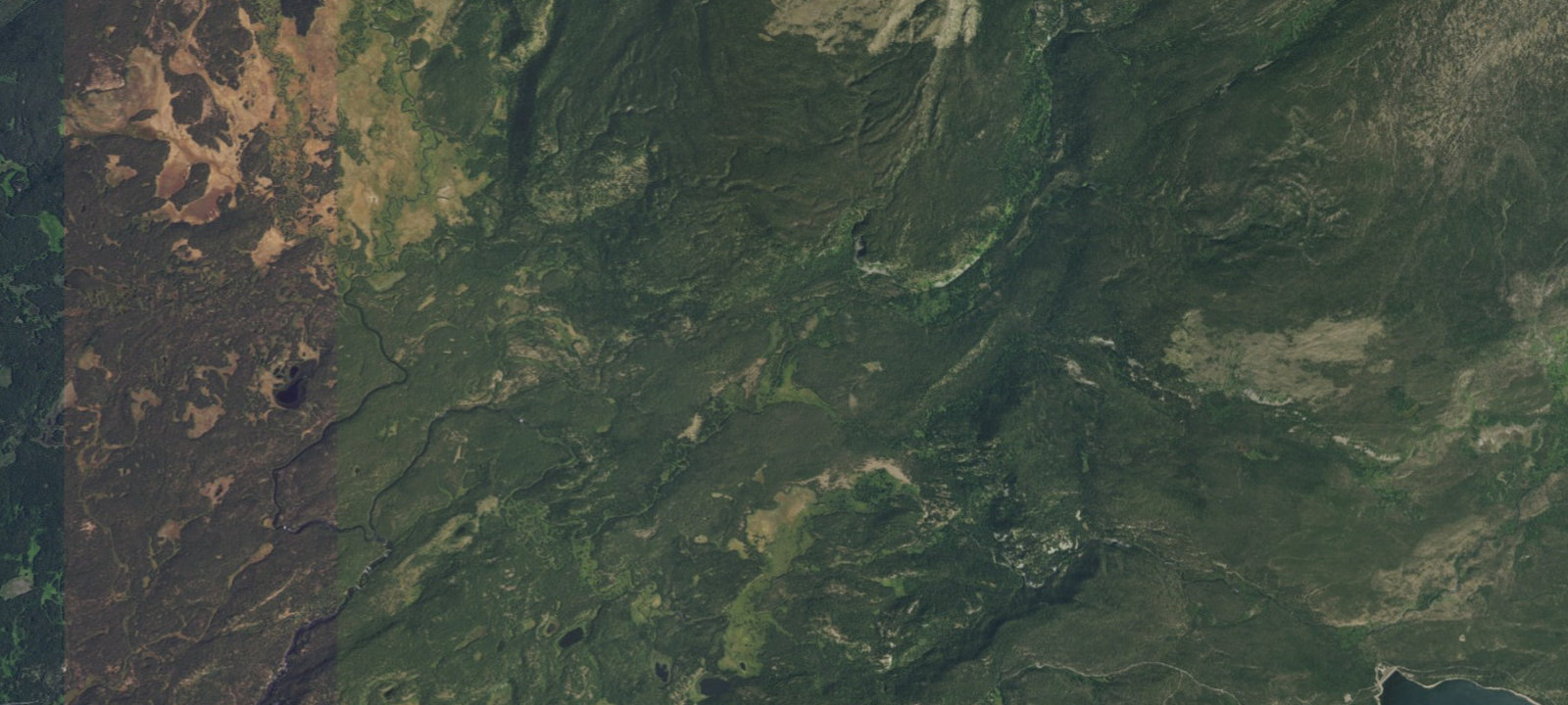 Map of Mountain Ash Creek