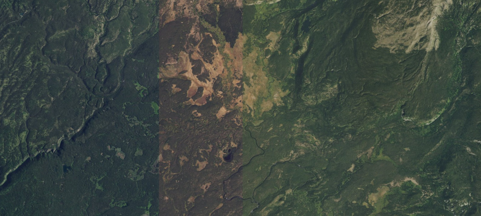 Map of Lower Boundary Creek