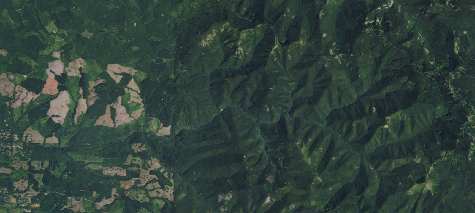 Map of FS Rd 42