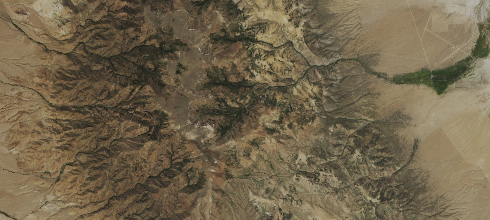 Map of Flowers Camp
