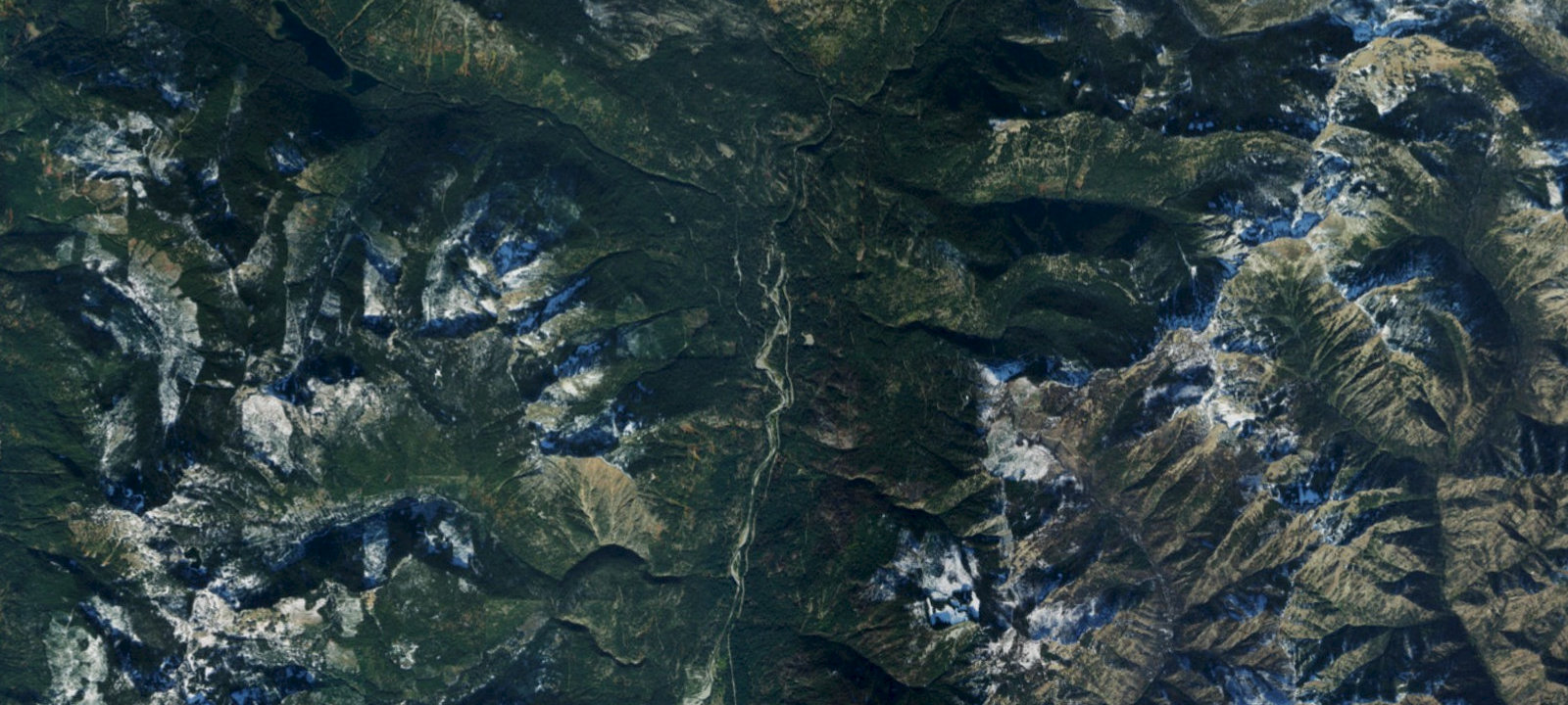 Map of Big Firs