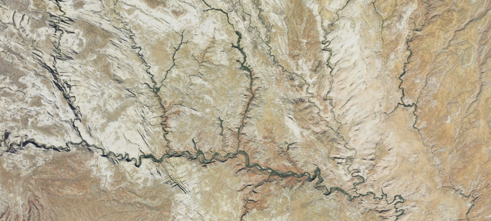 Map of Site 1