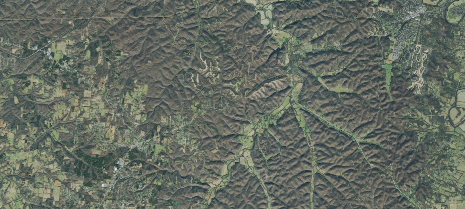 Map of 7 Trees