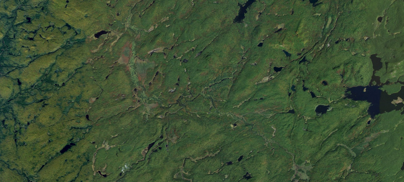 Map of Oswegatchie River Campsite 21