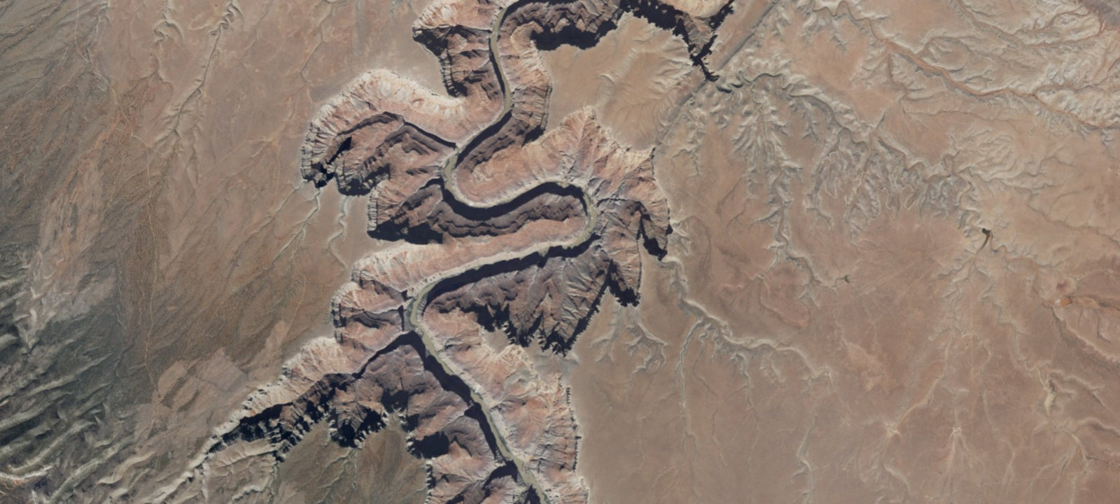 Map of Above Willie Taylor Camp