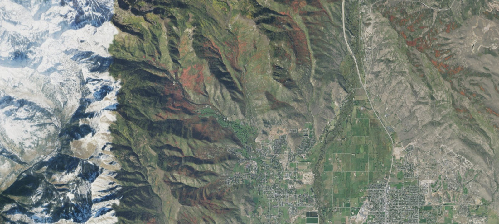 Map of Site 81