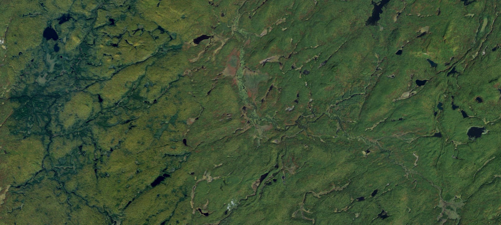 Map of Oswegatchie River Campsite 35