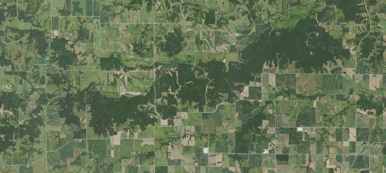 Map of Bottom Oak Camp