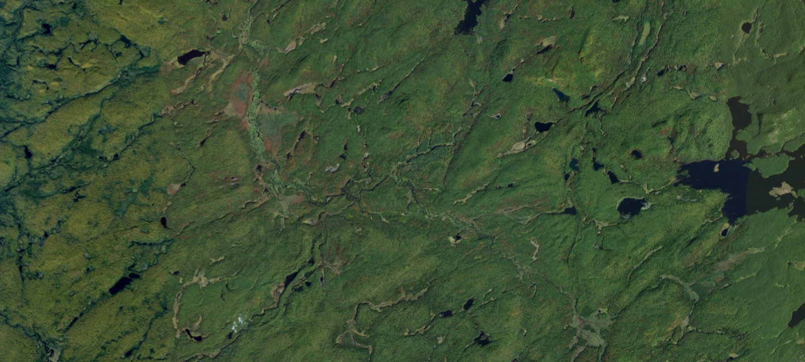 Map of Oswegatchie River #20 Campsite