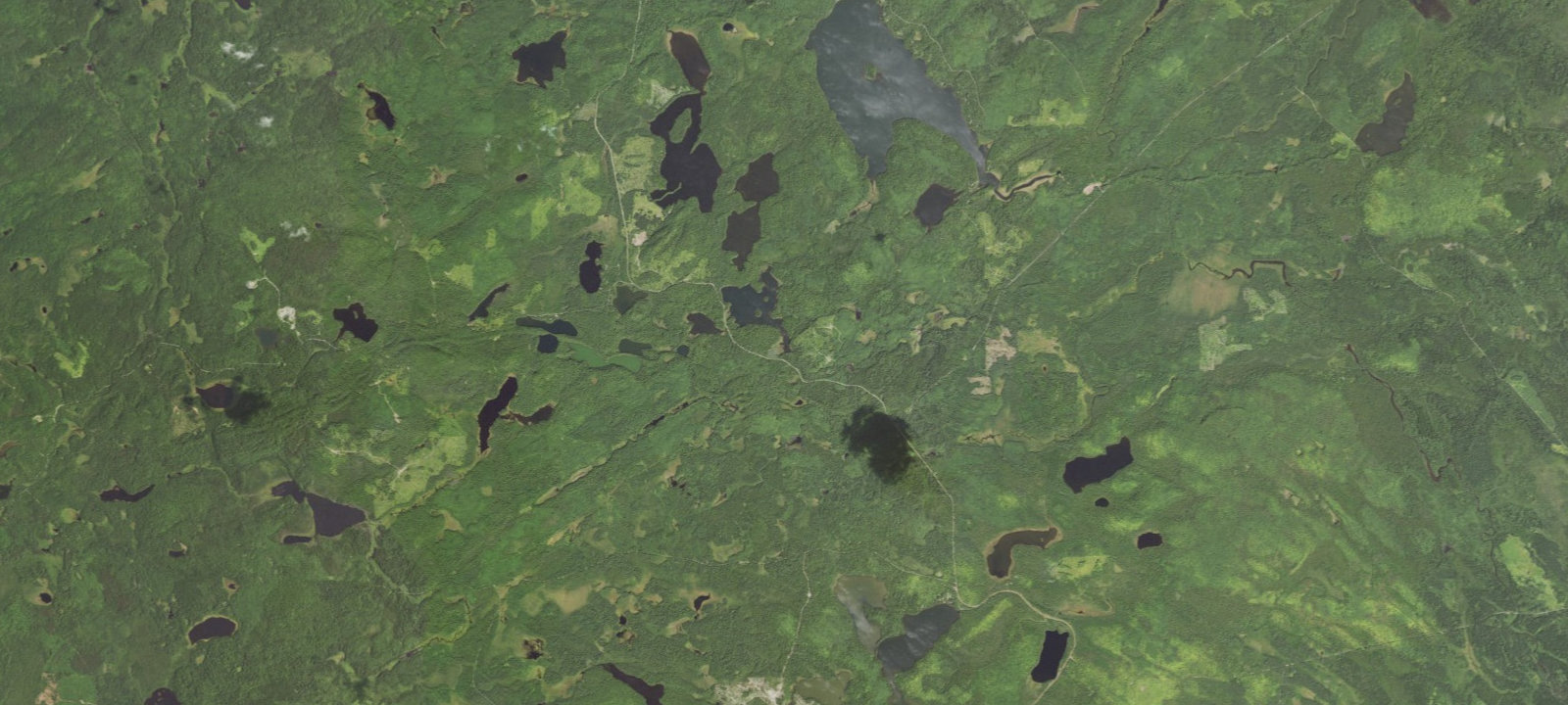 Map of Dam Five Lake Site 1
