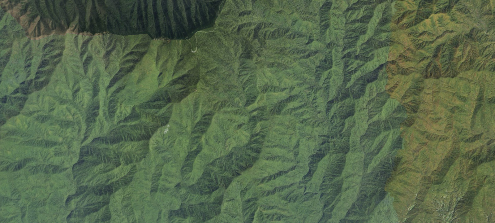 Map of Bald Creek #61