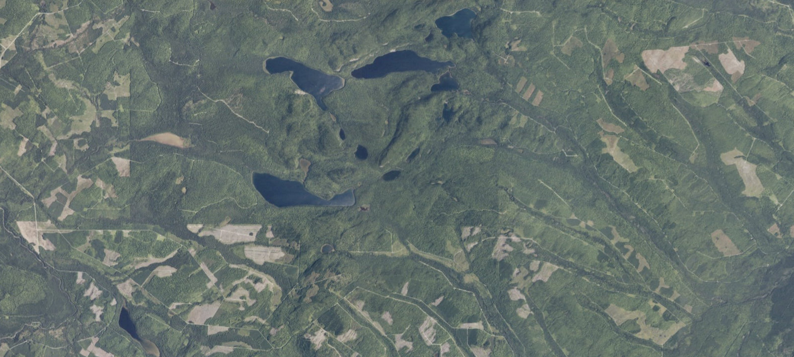 Map of Perch Pond