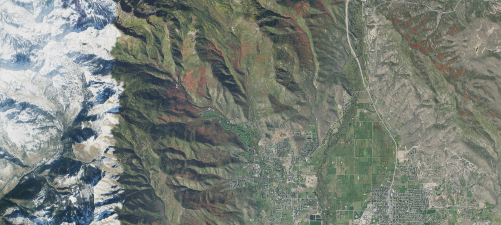 Map of Site 115