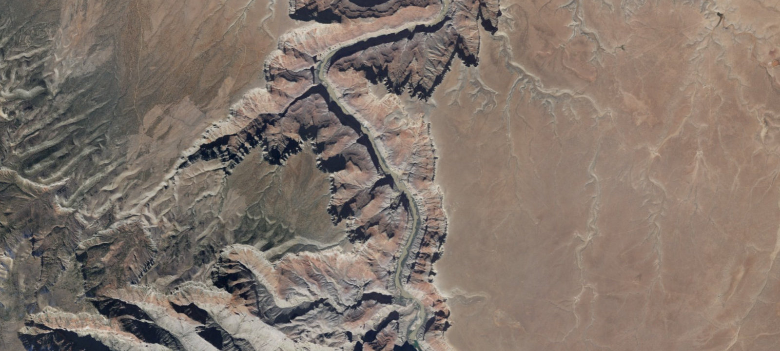 Map of Dinosaur Camp