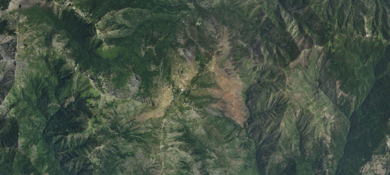 Map of Bee Camp