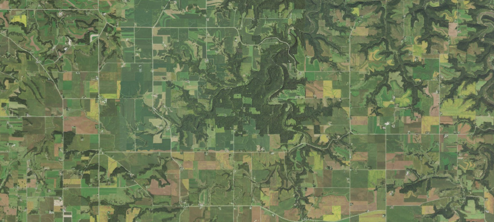 Map of Backwoods Campground