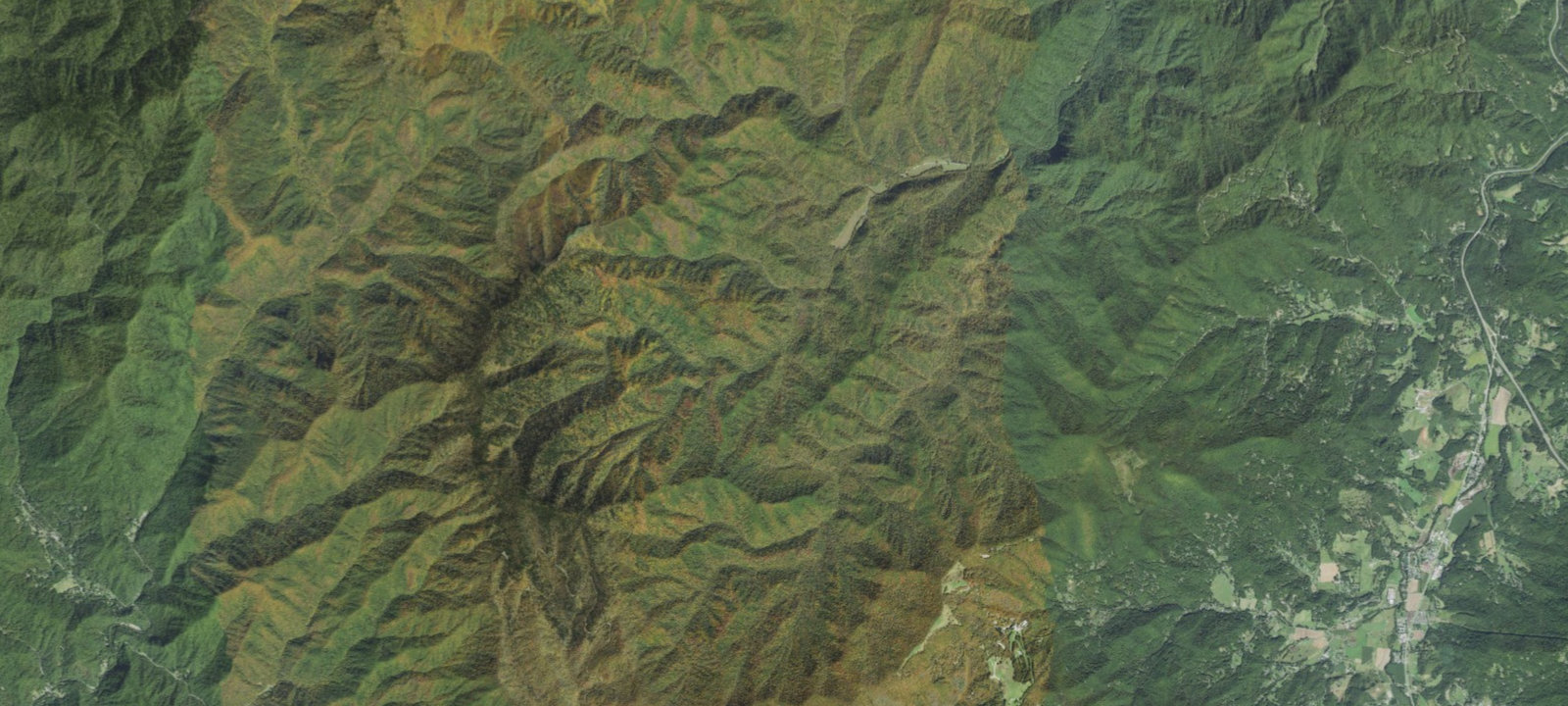 Map of Big Hemlock #40