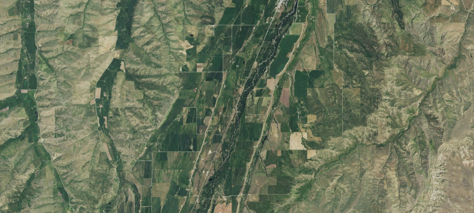 Map of Water Birch FAS