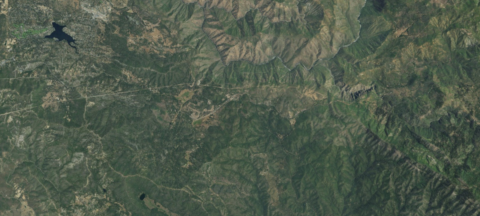 Map of The Pines