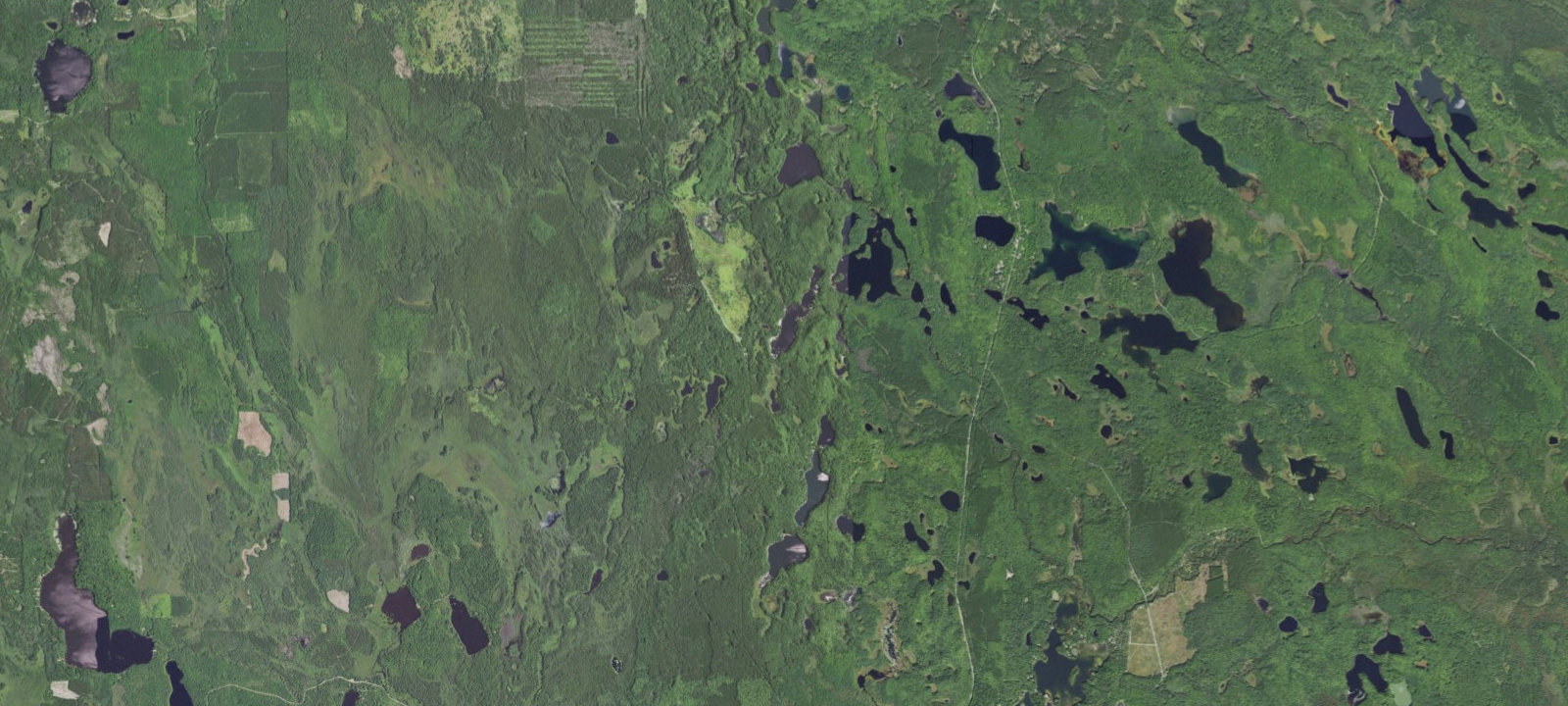 Map of Baldy Lake Camping Area