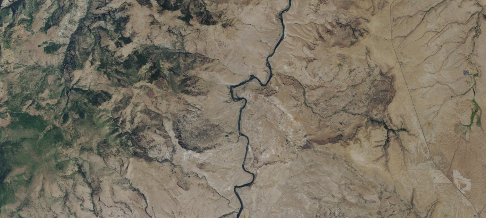 Map of Lower Whitehorse Camp