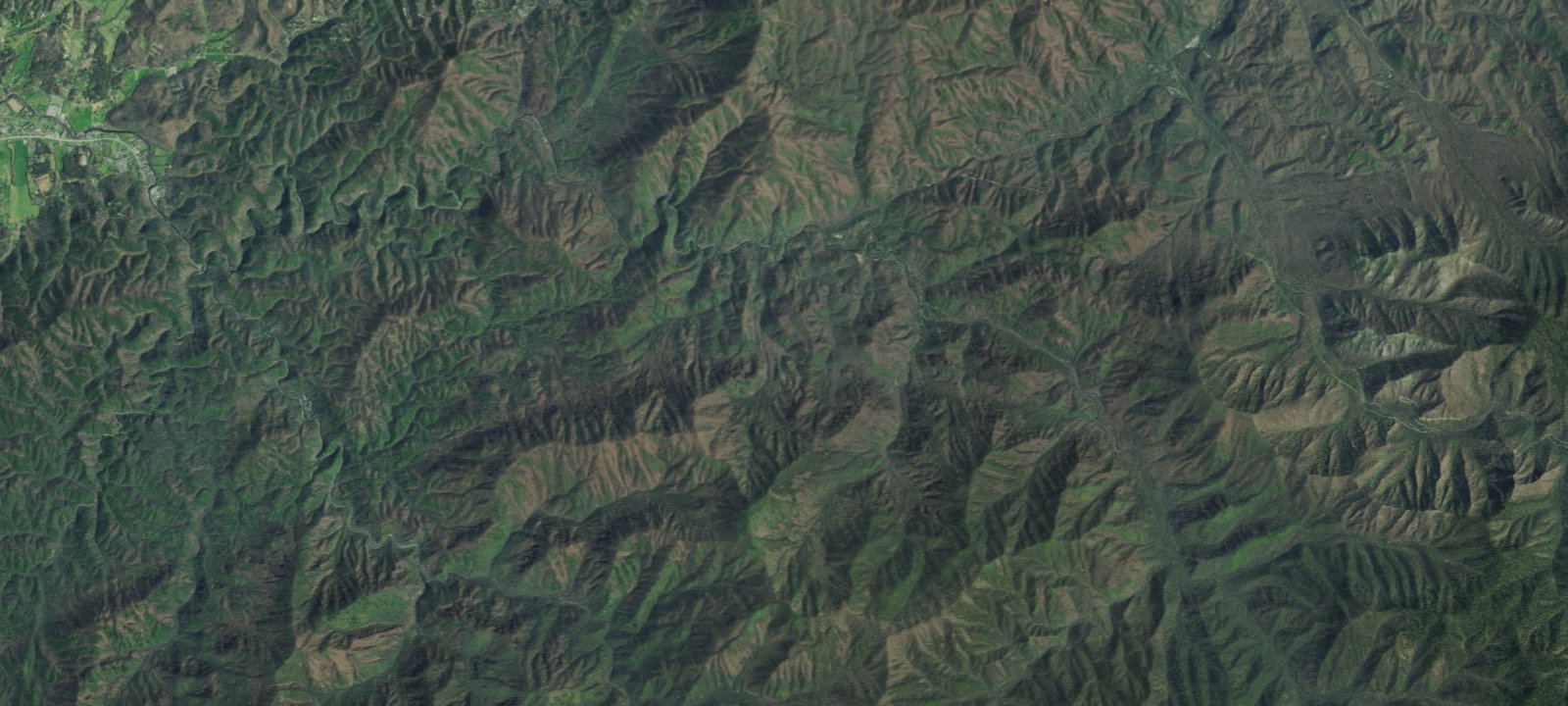Map of King Branch #20