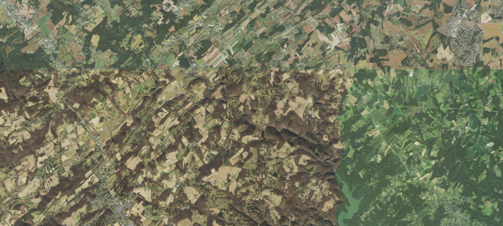 Map of Arrowhead Woods