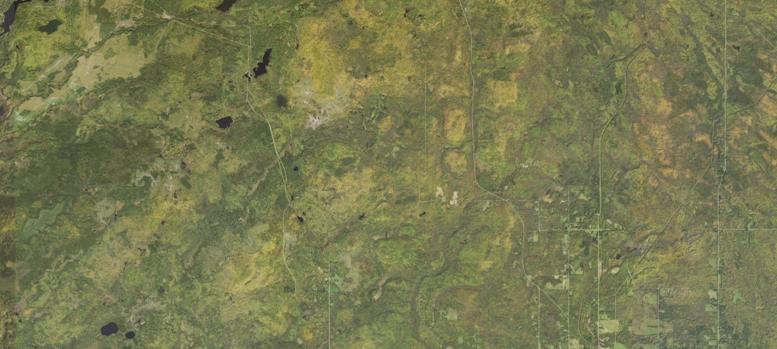 Map of McCarthy Creek