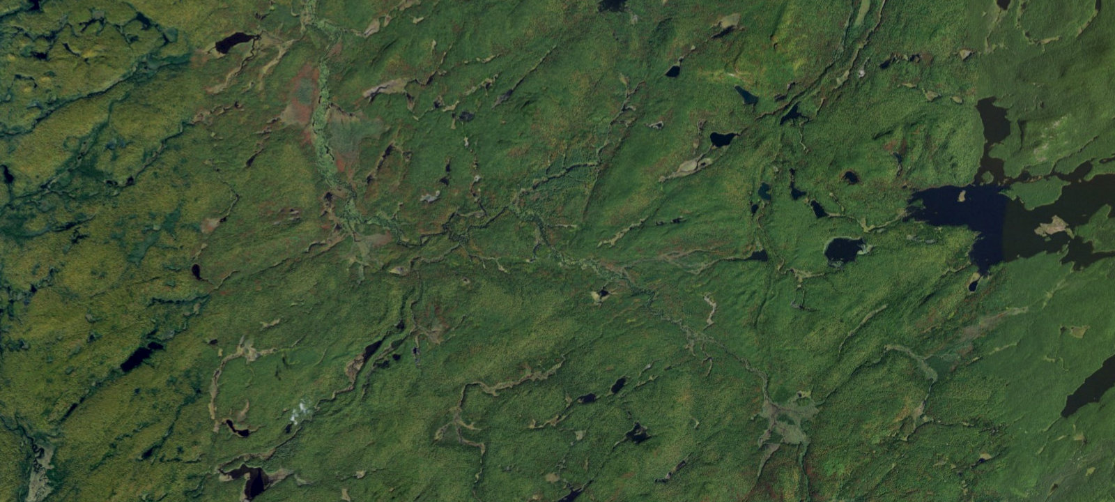 Map of Oswegatchie River Campsite 14