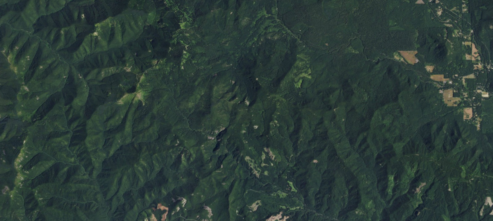 Map of Mowich Camp