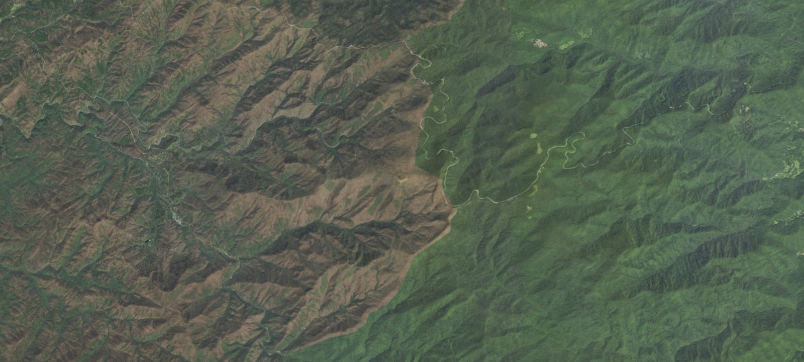 Map of Whigg Meadow