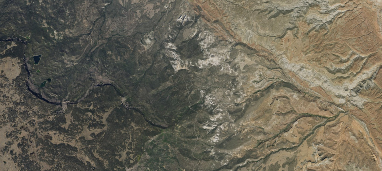 Map of Singletree
