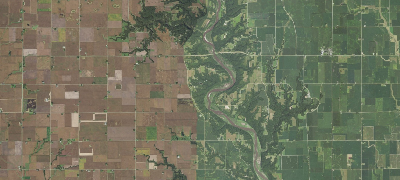 Map of Cayuga